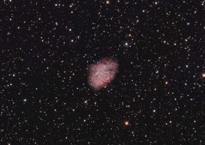 M1 Crab Nebula by G. Fountain, 10" Imaging Dall Kirkham, QSI683