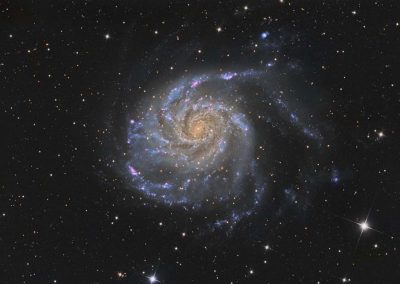 M101 Galaxy by D. Wilson, 17" Imaging Dall Kirkham, SBIG STXL 11002M