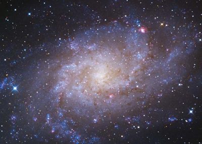 M33 Triangulum Galaxy by D. Wilson, 17" Imaging Dall Kirkham, SBIG STXL 11002M