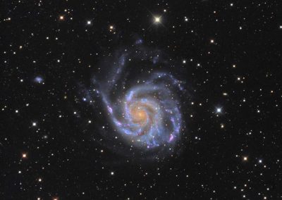 M101 Galaxy by M. Miller, 12.5" Imaging Dall Kirkham, Apogee U16M