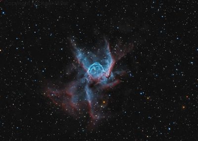 NGC2361 by M. Miller, 12.5" Imaging Dall Kirkham, Apogee U16M