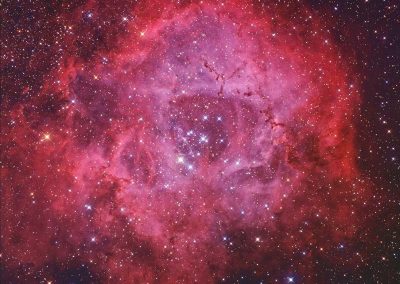 Rosette Nebula by S. Johnson, 12.5" Newtonian, Apogee U16M