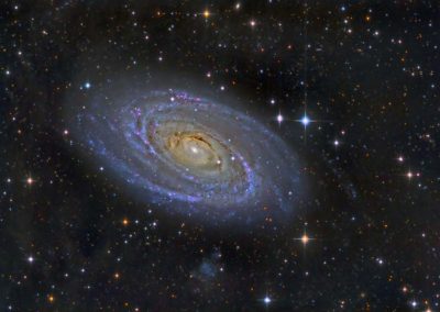 M81 Bodes Galaxy by D. Wilson, 17" Imaging Dall Kirkham, SBIG STXL 11002M