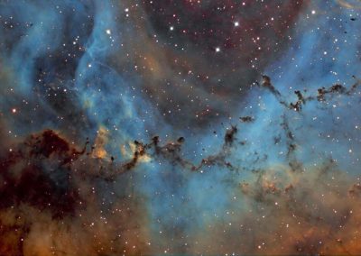 Rosette Nebula by D. Wilson, 17" Imaging Dall Kirkham, SBIG STXL 11002M