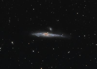 Whale Galaxy by S. Armen, 10" Imaging Dall Kirkham, QSI683